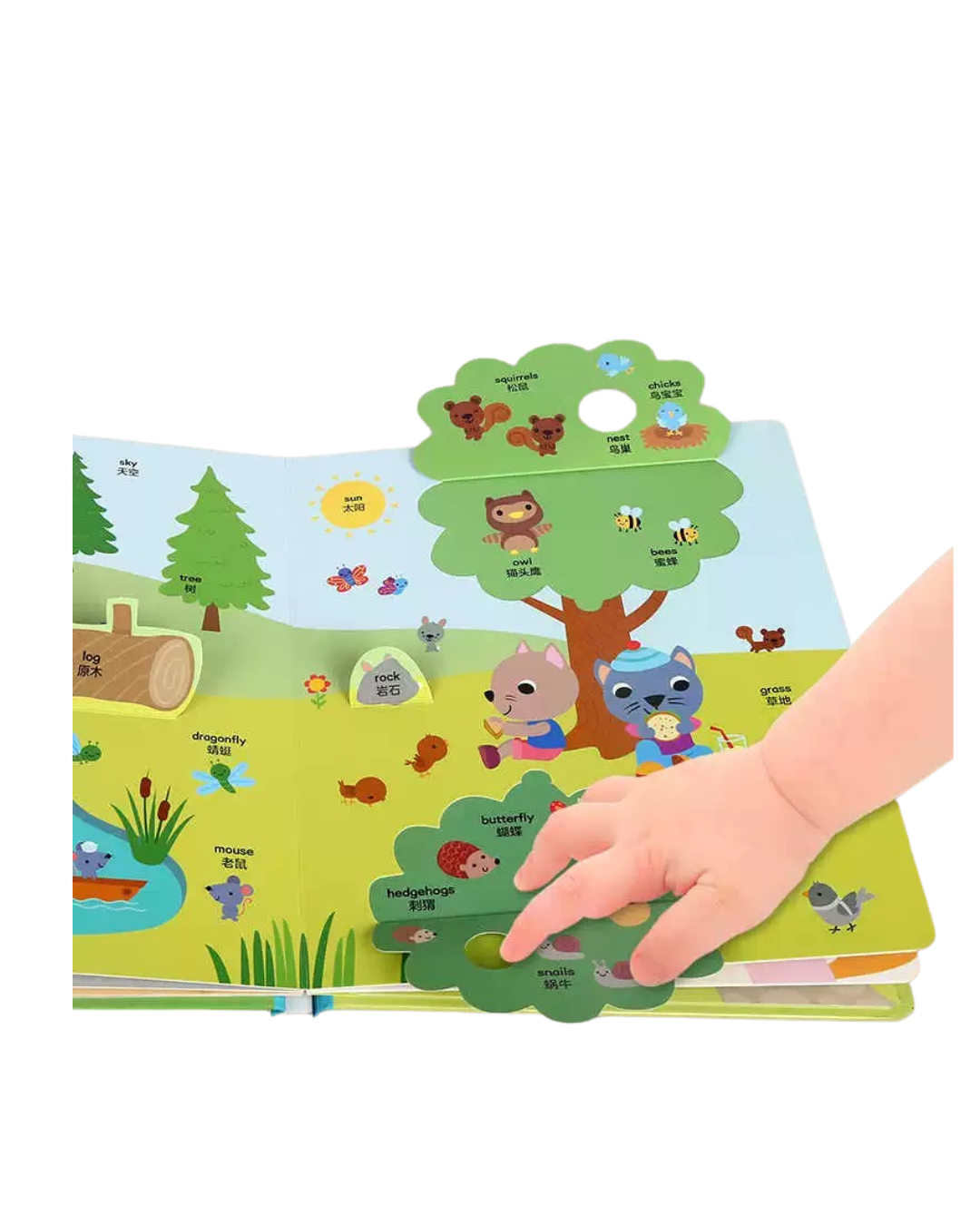乐乐趣My Daily Life Mandarin/English Lift the Flap Book