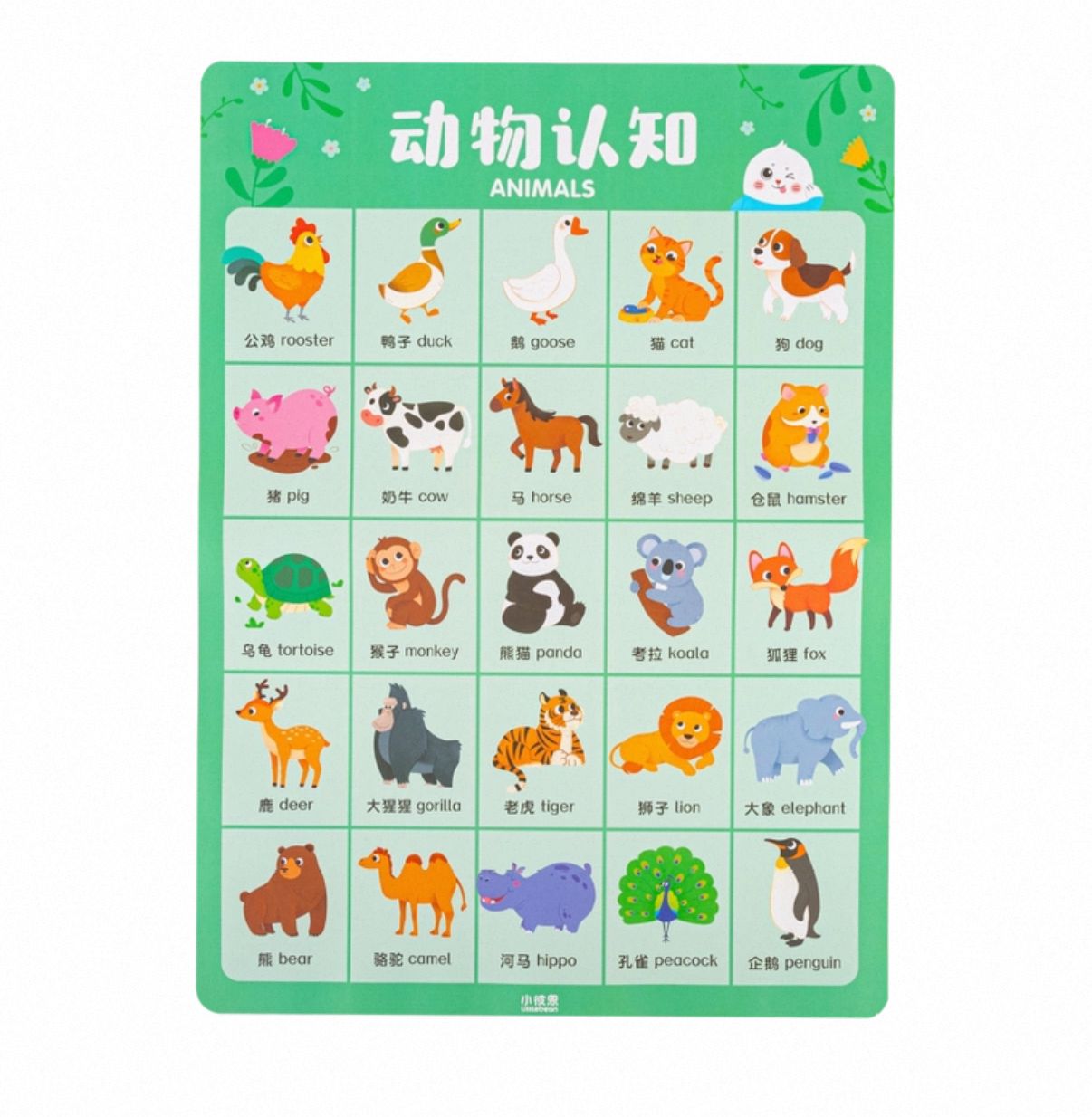 (Pre-Order) Caterpillar Little Bean English/Chinese Poster Set of 10pcs