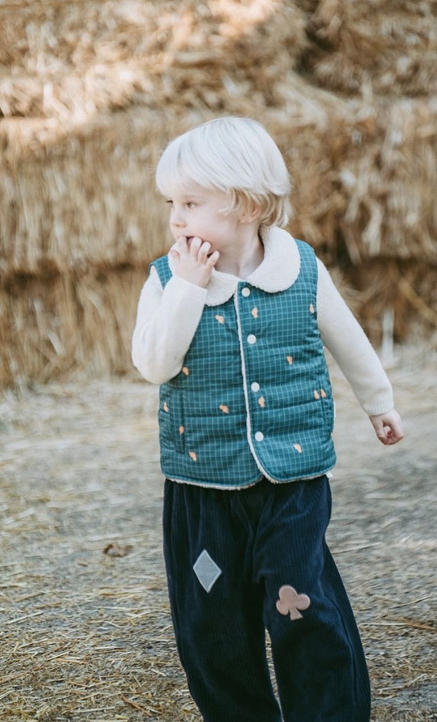 (Pre-Order) White Wheat Winter Vest