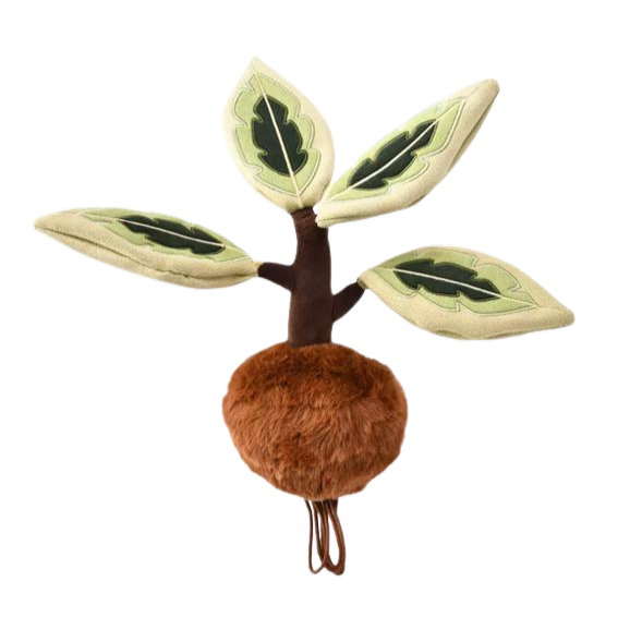 (Pre-Order) Plush F Variegated Ficus