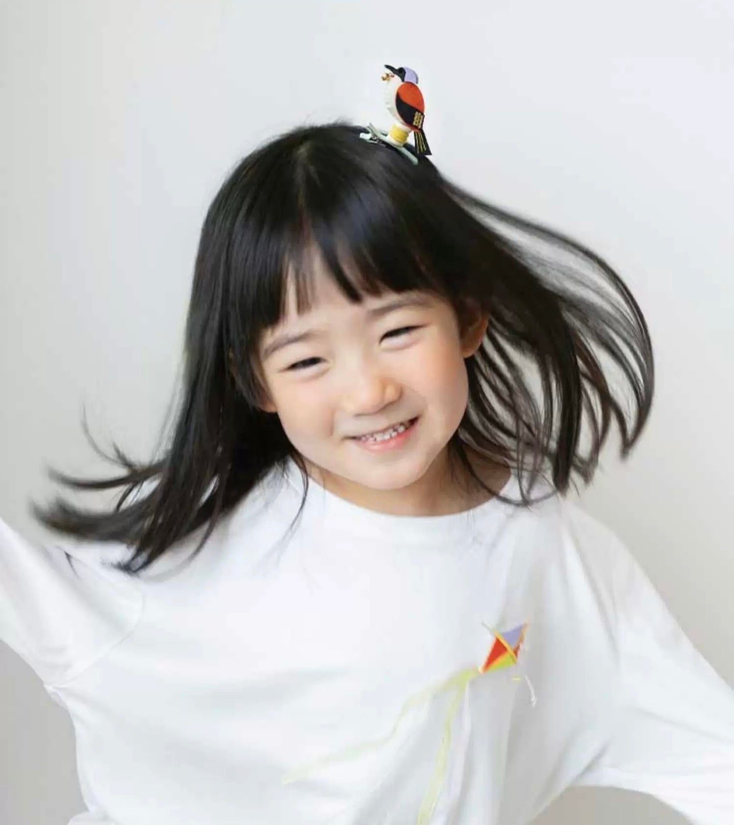 Assorted Hair Clip