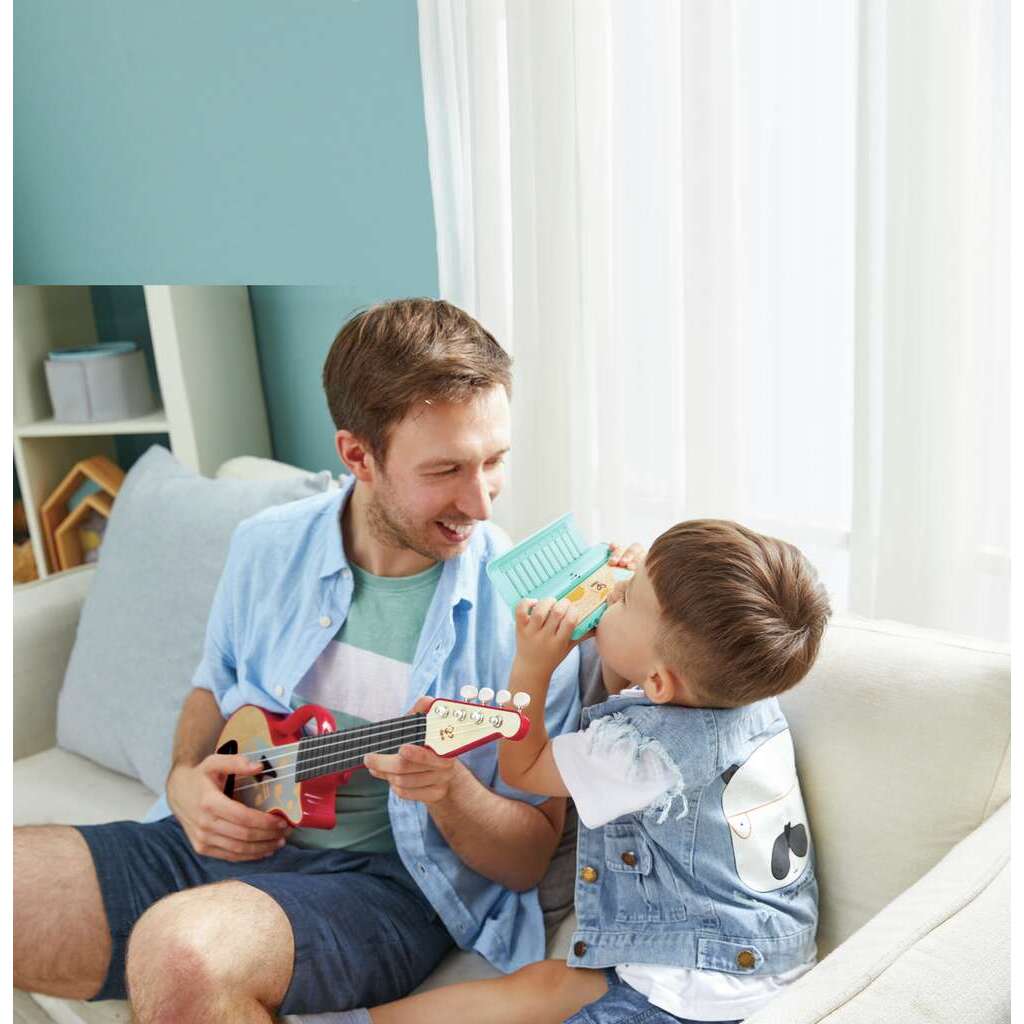 (Pre-Order) Hape Teach-me Harmonica
