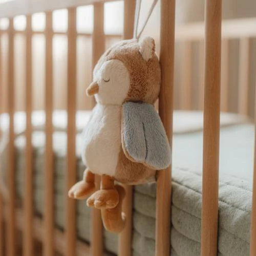 (Pre-Order) Little Dutch Music box - Multicolored - Forest Friends