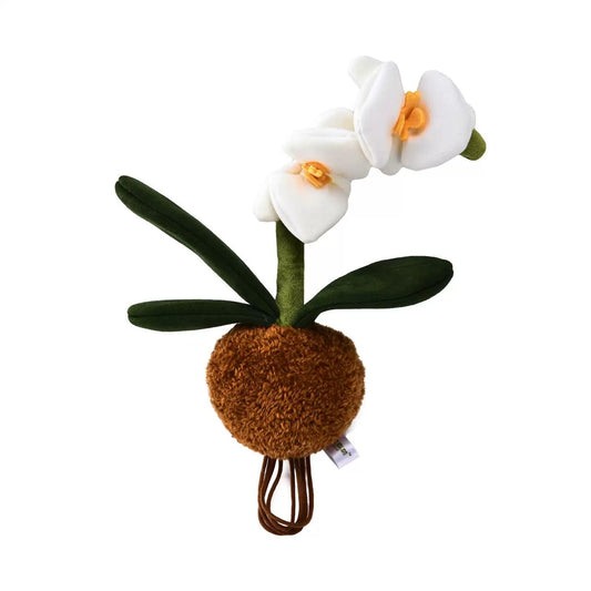 (Pre-Order) Plush F Phalaenopsis Orchid