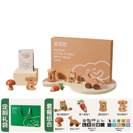 (Pre-Order) Wooden Educational Sensory Toy