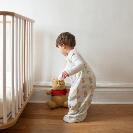 (Pre-Order) Winnie The Pooh + Aden and Anais +  Wearable Blanket Micro