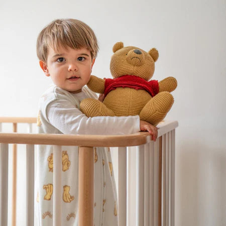 (Pre-Order) Winnie The Pooh + Aden and Anais +  Wearable Blanket Micro