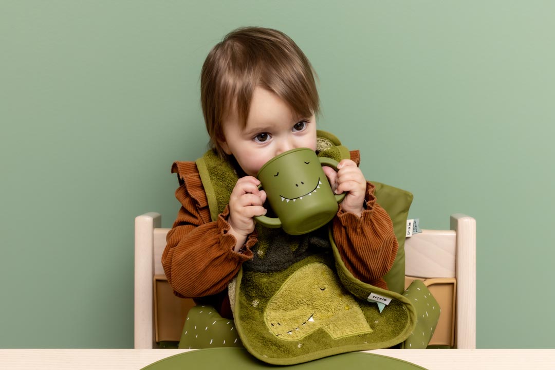 (Pre-Order) SALE Trixie Bibs - Mr. Dino