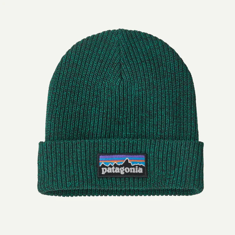 (Pre-Order) Patagonia Kids Logo Beanie