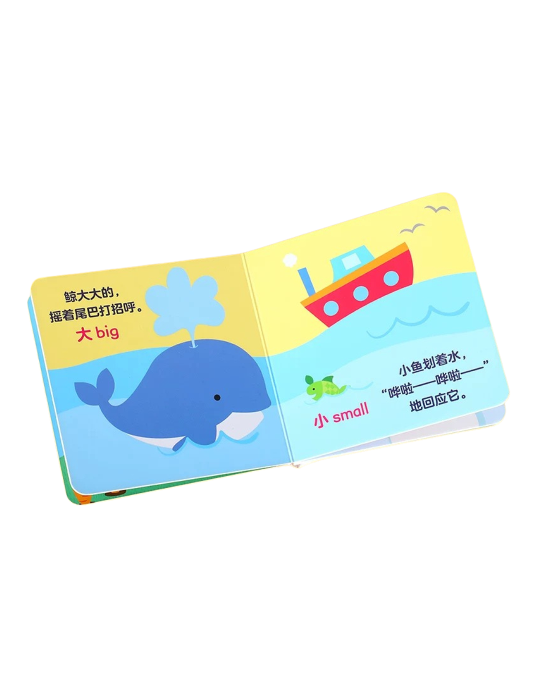 乐乐趣 Baby Knows Words 0-2Y Chinese/English Book