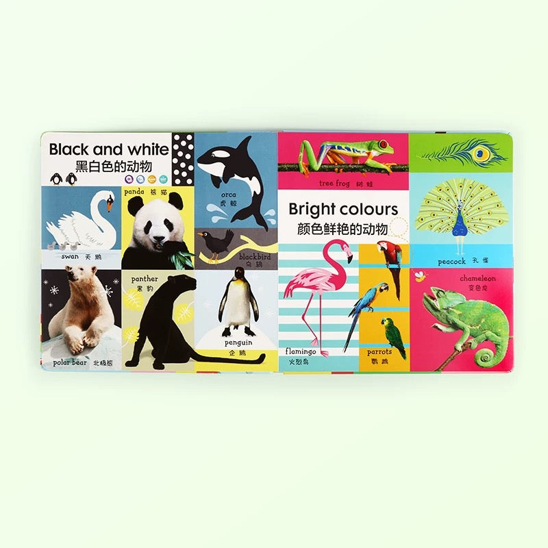 (Pre-order) Little Bean DK Chinese English Books Pack of 5