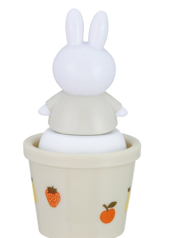 (Pre-Order) Skater With mascot salt case salt and pepper case salt and pepper container character