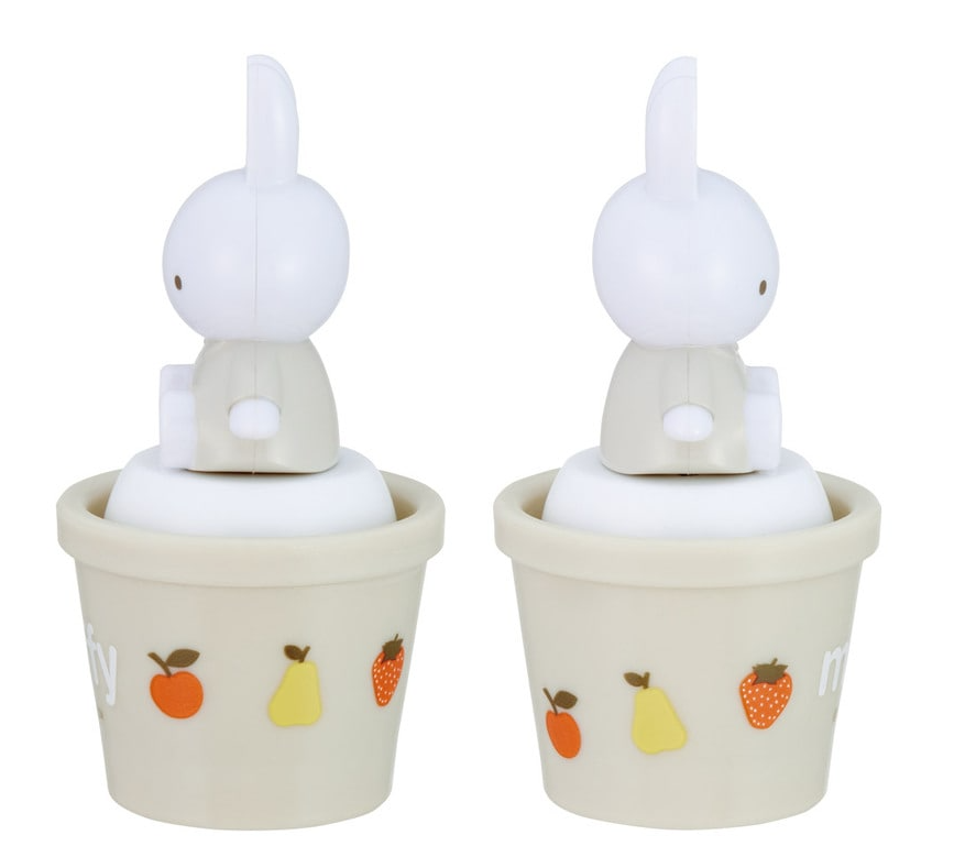 (Pre-Order) Skater With mascot salt case salt and pepper case salt and pepper container character