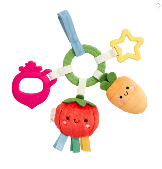 (Pre-order) Itzy Ritzy Bitzy Busy Ring Teething Activity Toy