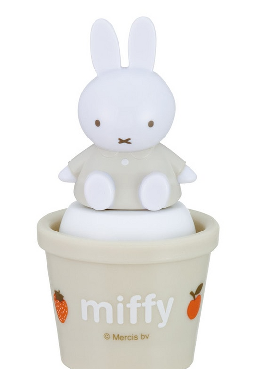 (Pre-Order) Skater With mascot salt case salt and pepper case salt and pepper container character