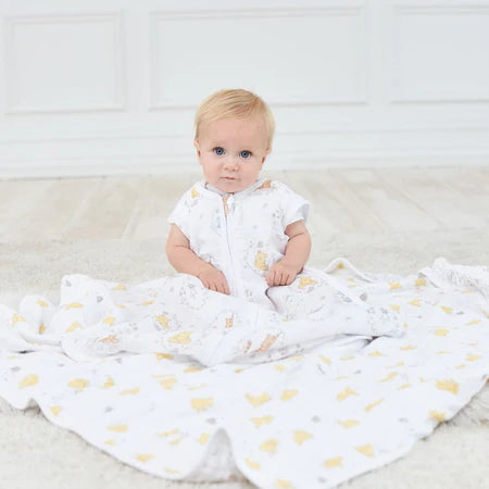 (Pre-Order) Winnie The Pooh + Aden and Anais + Blanket