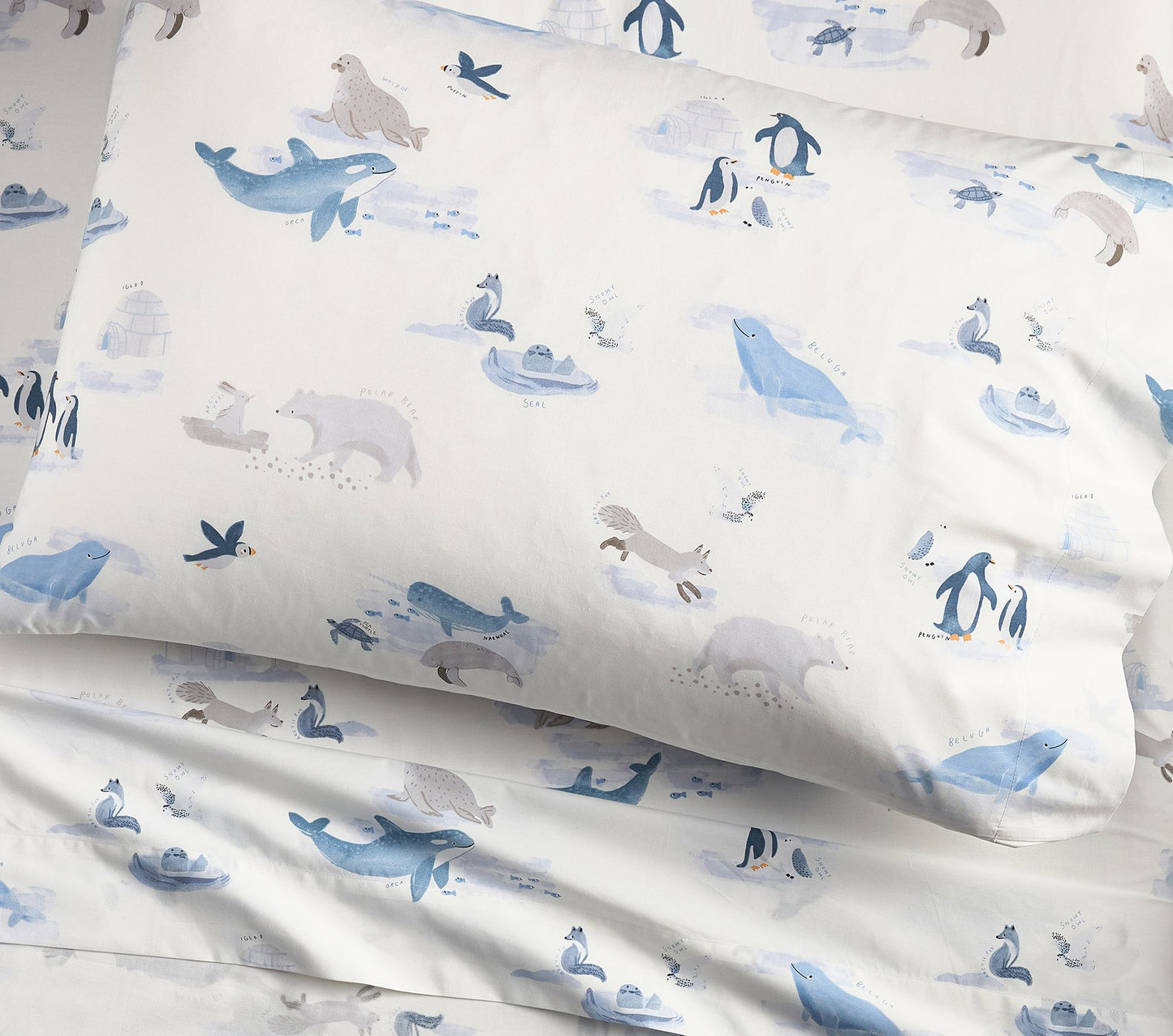 (Pre-Order) Pottery Barn Kids Arctic Animals Organic Sheet Set