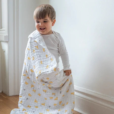 (Pre-Order) Winnie The Pooh + Aden and Anais + Blanket