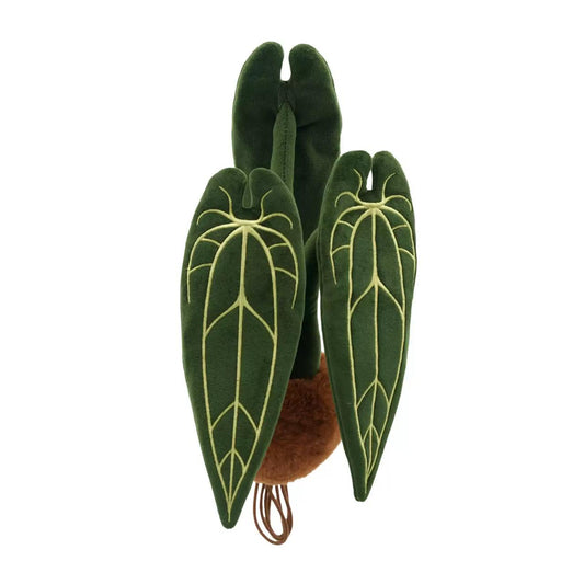 (Pre-Order) Plush F Anthurium Veitchii