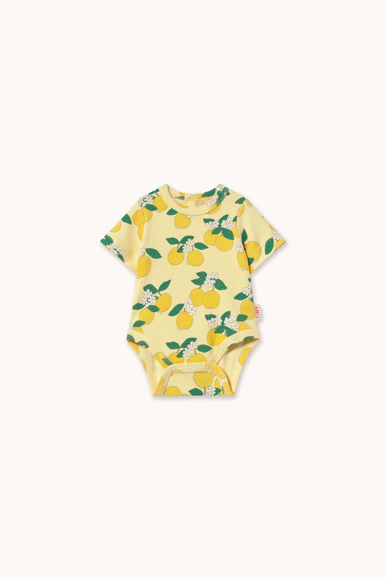 (Pre-Order) Tiny Cotton Oranges Rib Body